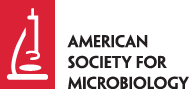 American Society for Microbiology